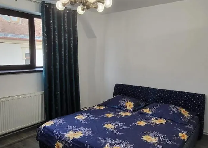 ゲストハウス Bistro Centru Vechi